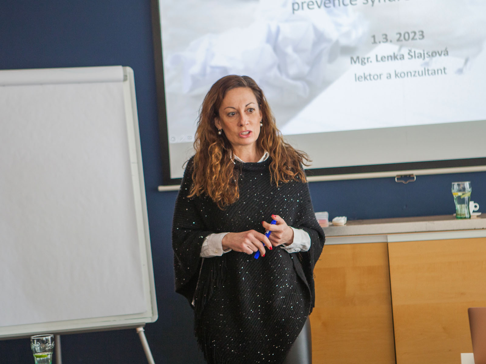 Leneo - Vzdělávací agentura Plzeň - Aktualita